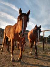 left to right: Casey, Jaden (background), Natahni