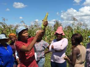 Provide tools to rural women startup farmers in SA