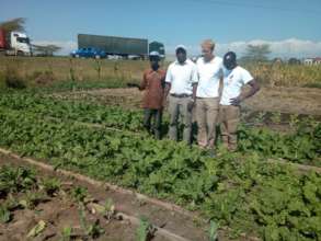 Crops grown from seeds donated by SSNK