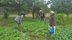 SSNK extension officers at a farm training