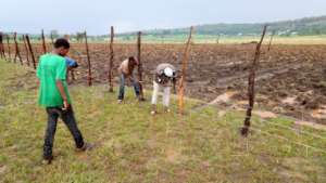 Preparing fields while waiting for floods to drain