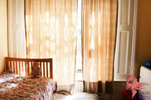 New Refuge's room