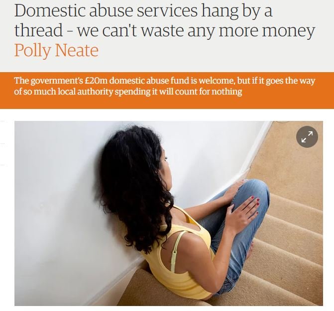 Vital domestic violence service under threat