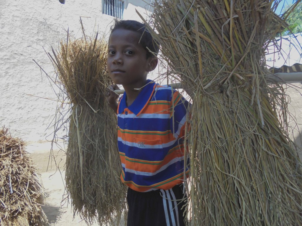 Education Support for 200+ Child Laborers in Nepal