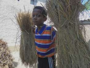 Children harvesting paddy from landlord's farm