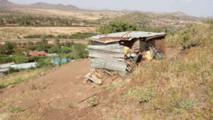 Molu's home on the hill