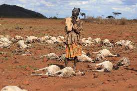 The Drought in Marsabit