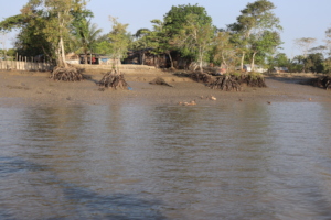 Living area of the community
