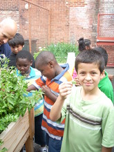 mint tastes good!