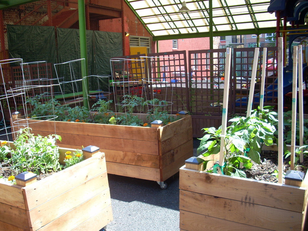 School Yard Garden in Inner City DC