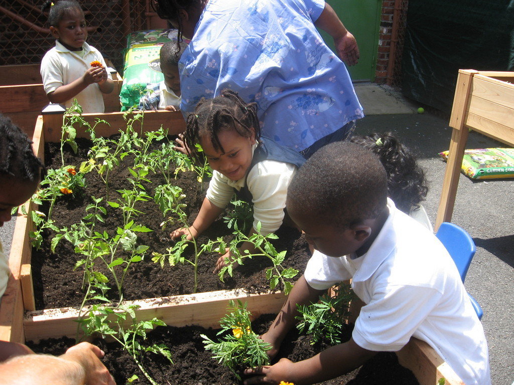 School Yard Garden in Inner City DC