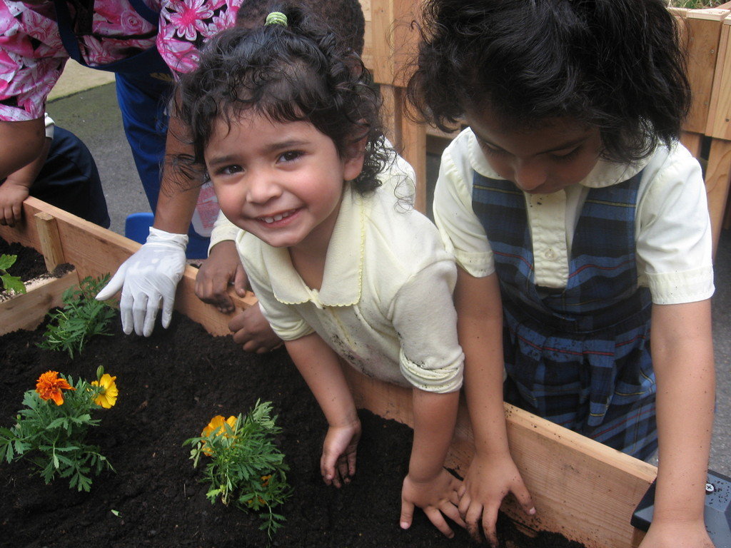 School Yard Garden in Inner City DC