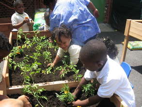 Kids Planting!