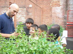 teaching the children about mint!