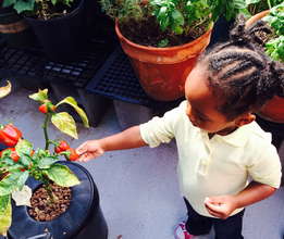 child with a growing pepper!