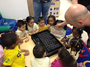 The children in our daycare plant tomato seeds.