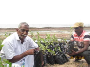 Nursery in kodiyakadu