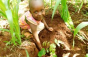 Plant 50,000 Trees in Mount Kenya Forest