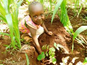 Plant 50,000 Trees in Mount Kenya Forest