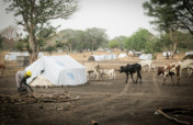 South Sudan Emergency Appeal for 600 Refugees
