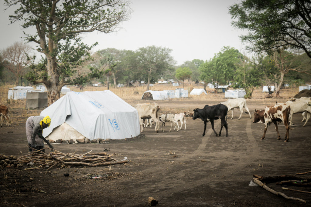 South Sudan Emergency Appeal for 600 Refugees