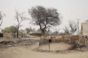 Burnt Houses