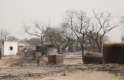 Urgent Appeal for Fire Affected People of Thar