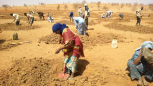 1,116 people take part in th Cash for work program