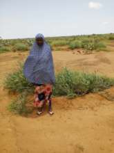Andy can provide food for her family and livestock