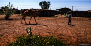 ADRA/ Ethiopia