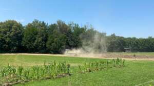 Peace Farm