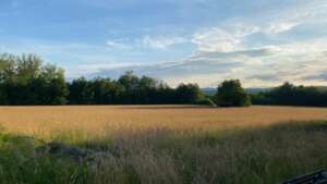 Peace Farm