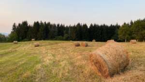 Autumn day at Peace Farm