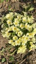 Spring is on the door!