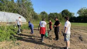 from seed to fair - project