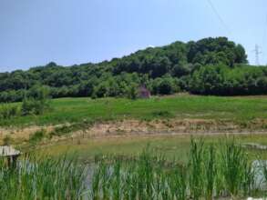 Pond, end of August 2022