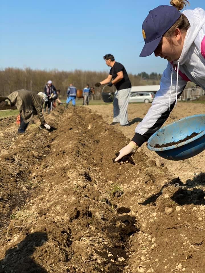 Support a Peace Farm in Bosnia and Herzegovina
