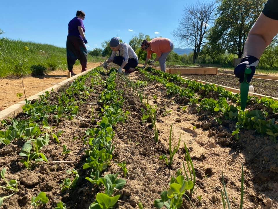 Support a Peace Farm in Bosnia and Herzegovina