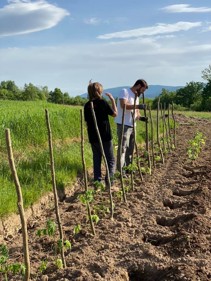 Support a Peace Farm in Bosnia and Herzegovina