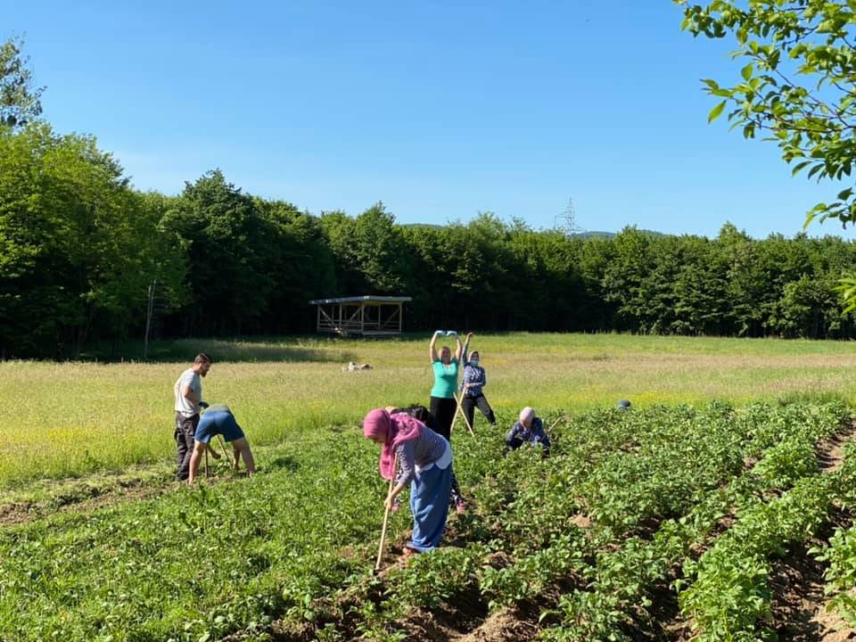 Support a Peace Farm in Bosnia and Herzegovina