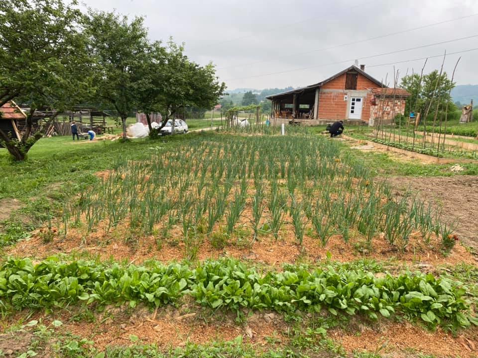 Support a Peace Farm in Bosnia and Herzegovina - GlobalGiving