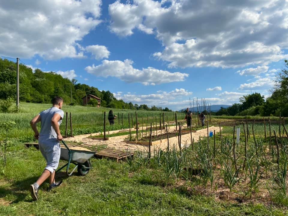 Support a Peace Farm in Bosnia and Herzegovina