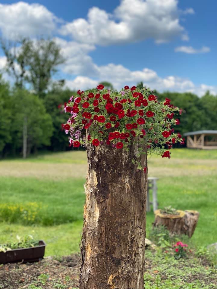 Support a Peace Farm in Bosnia and Herzegovina