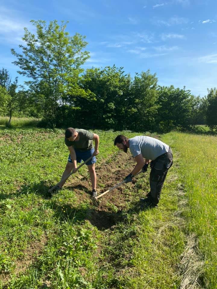 Support a Peace Farm in Bosnia and Herzegovina