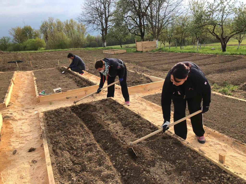 Support a Peace Farm in Bosnia and Herzegovina