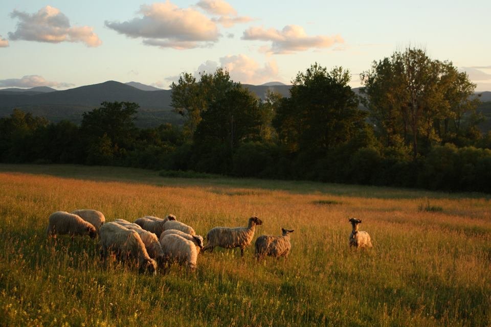Support a Peace Farm in Bosnia and Herzegovina