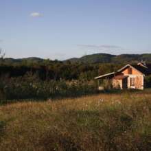 Peace Farm