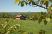 Support a Peace Farm in Bosnia and Herzegovina