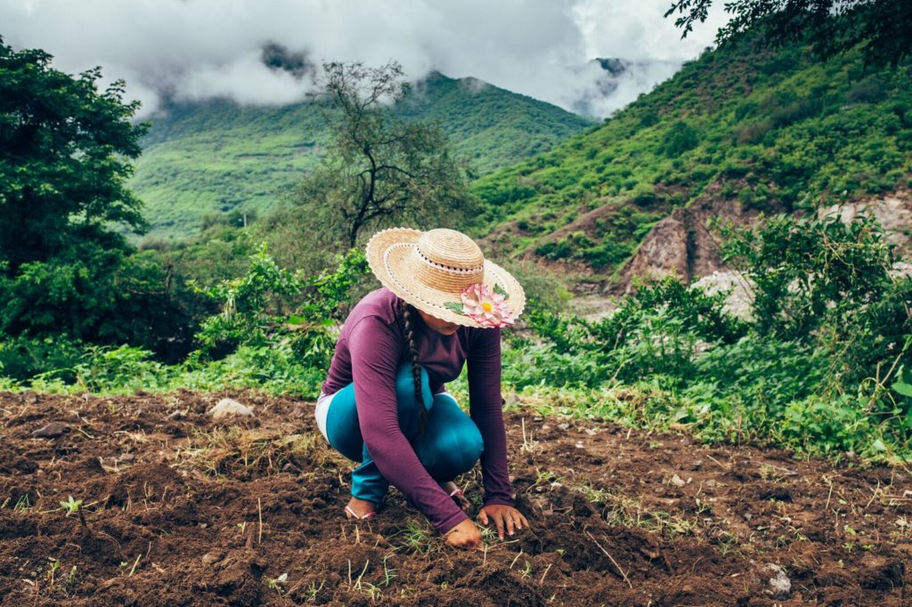 Tarahumara Farm and Run Fund