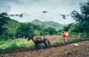 Tarahumara Farm and Run Fund